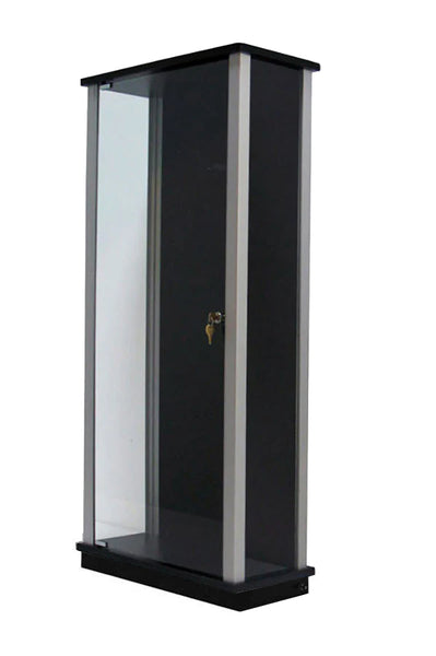 Locking Glass Guitar Display Case w/ LED's
